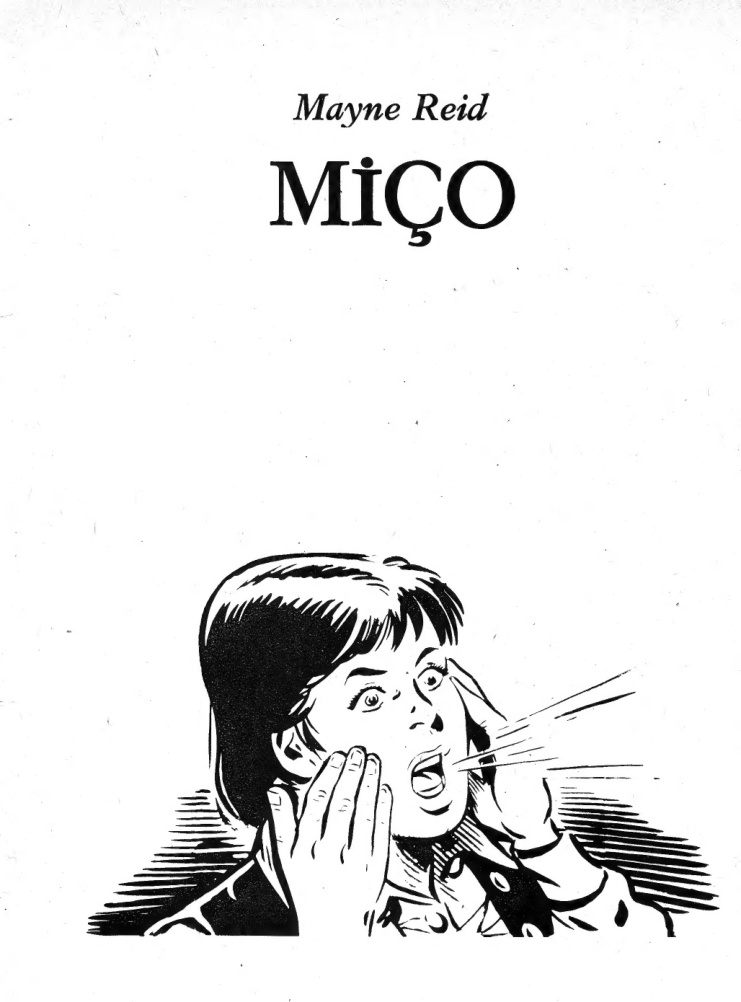 Miço PDF – Kolektif / Macera