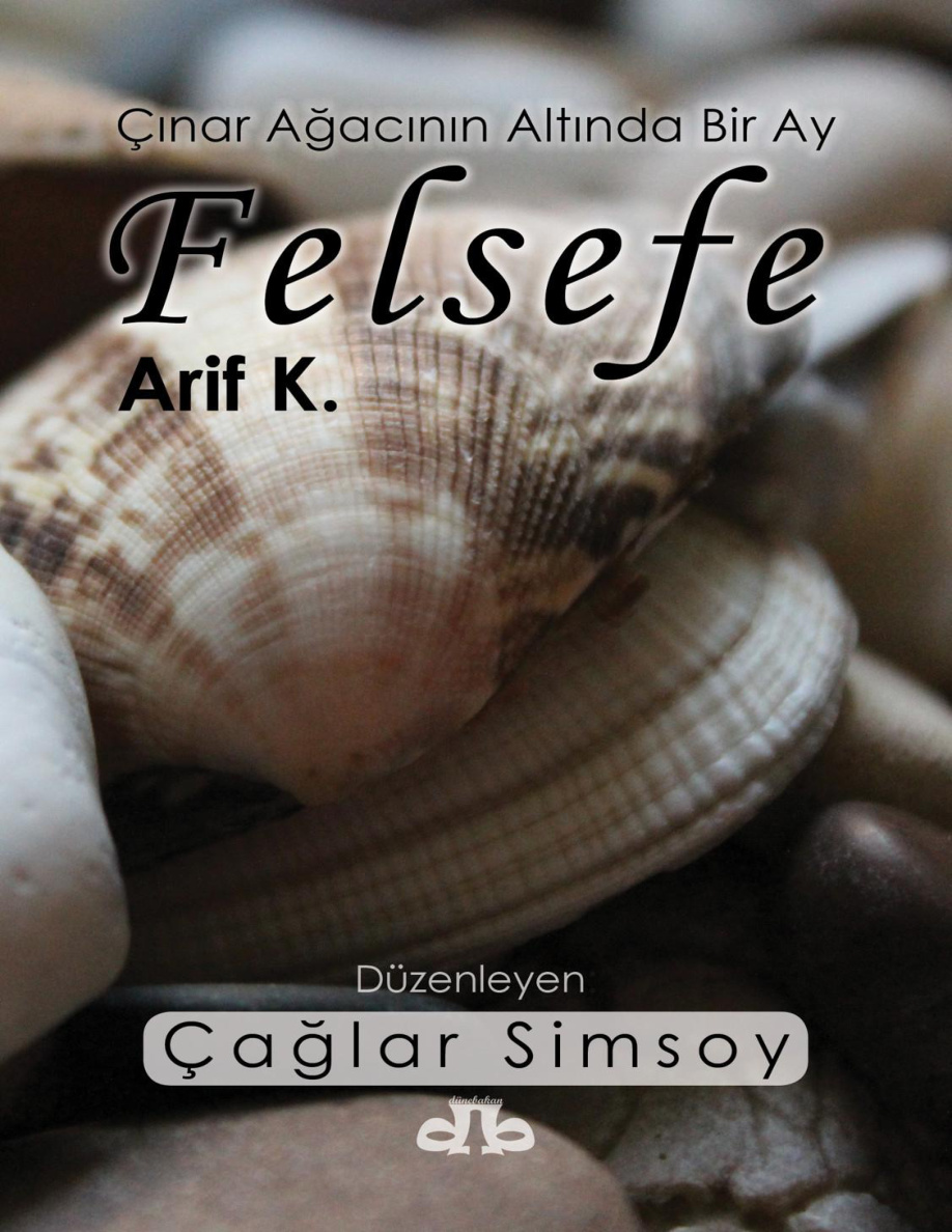 Çınar Ağacının Altında Bir Ay Felsefe PDF – Arif K.