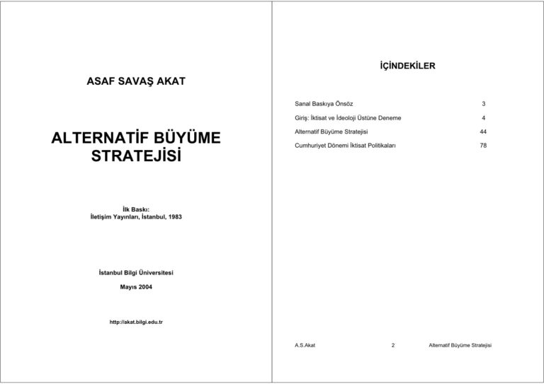 Asaf Savas Akat Alternatif Buyume Stratejisi Kitap Kapağı