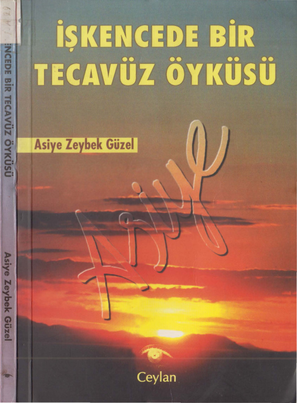 İşkencede Bir Tecavüz Öyküsü PDF – Asiye Zeybek Güzel