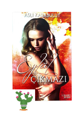 Eylül Çıkmazı PDF - Aslı Karabulut 2 Eylül Çıkmazı PDF – Aslı Karabulut