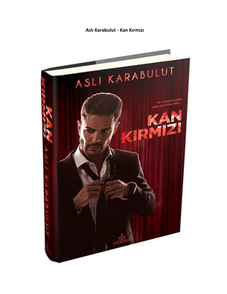 Kan Kırmızı PDF - Aslı Karabulut 1 Kan Kırmızı PDF – Aslı Karabulut