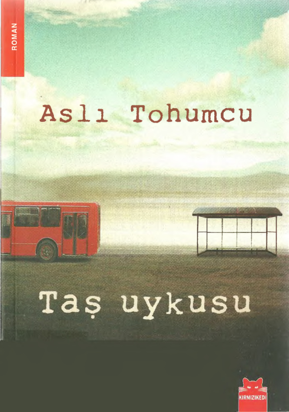 Taş Uykusu PDF – Aslı Tohumcu