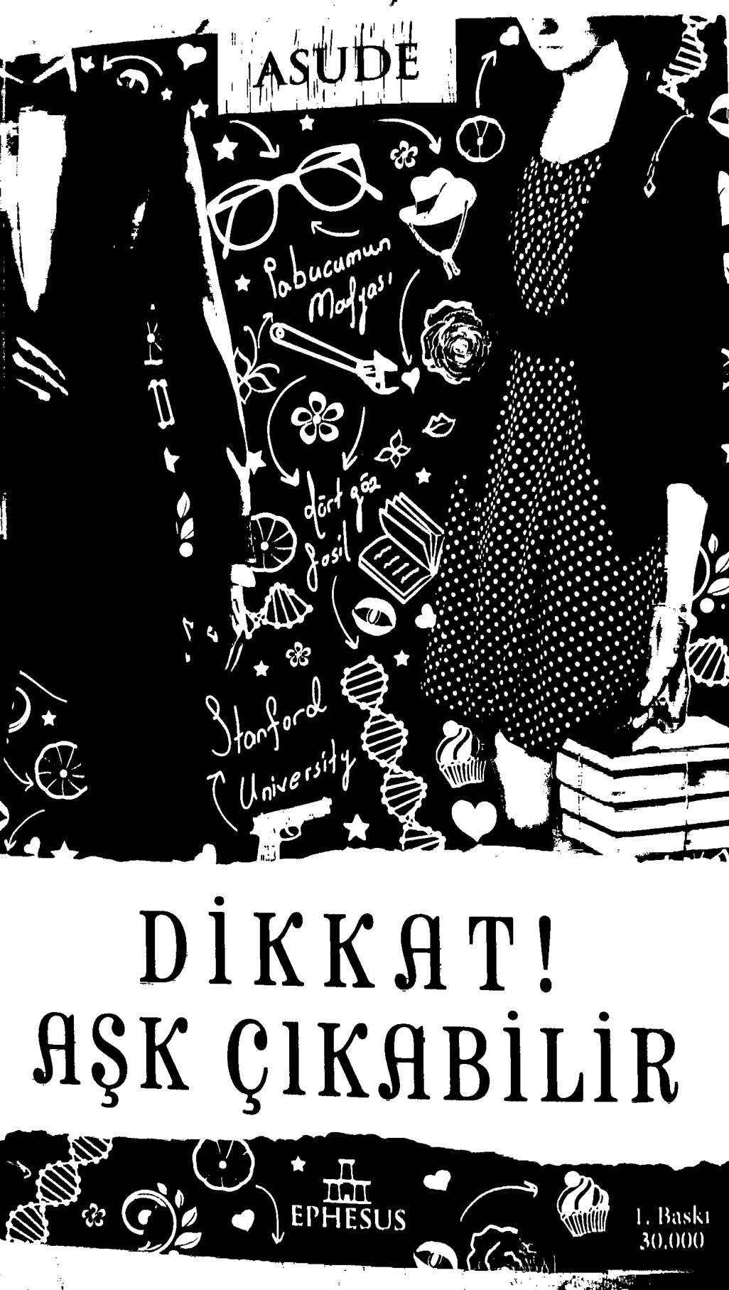 Dikkat! Aşk Çıkabilir PDF – Asude