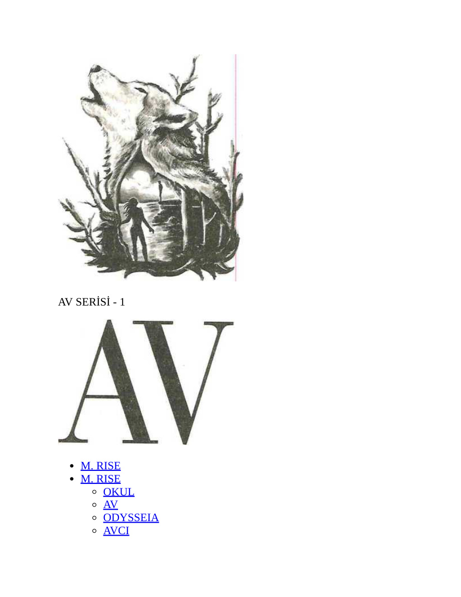 Av (Av Serisi 1) PDF – M. Rise