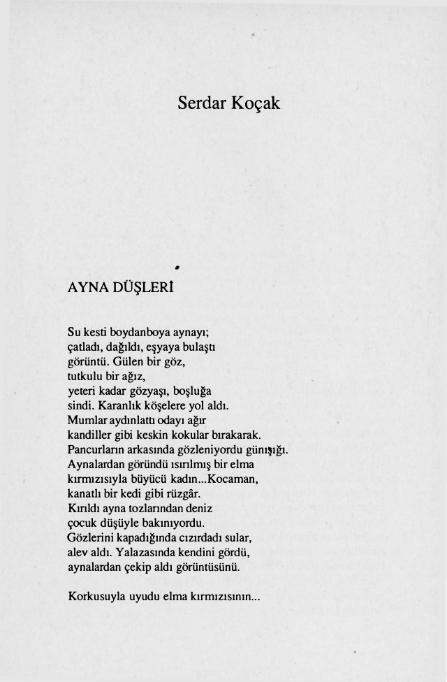 Ayna Düşleri PDF – Serdar Koçak