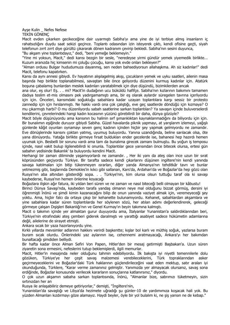Ayse Kulin Nefes Nefese Kitap Kapağı