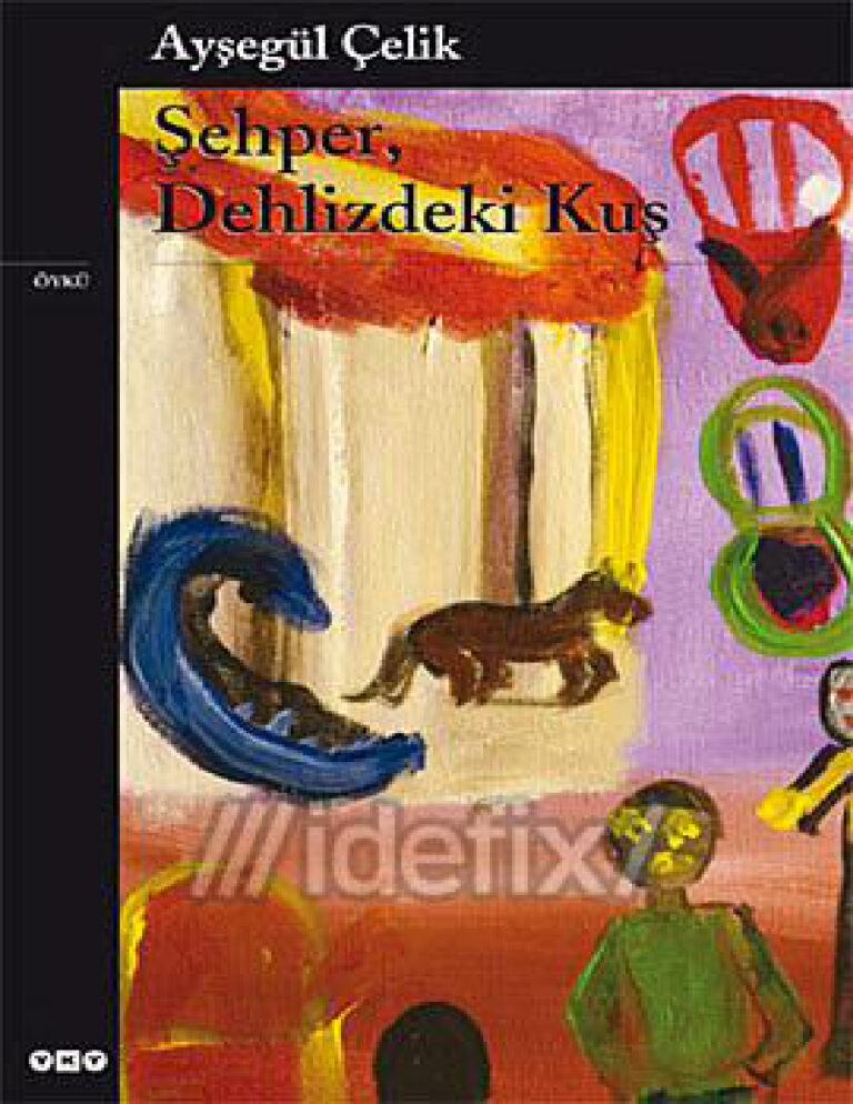 Ayşegül Çelik Şehper, Dehlizdeki Kuş Kitap Kapağı