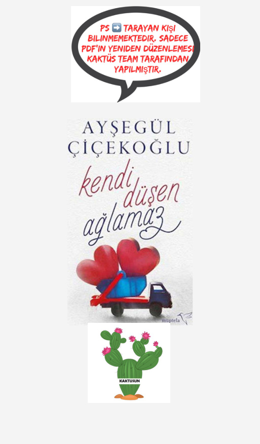 Kendi Düşen Ağlamaz PDF – Ayşegül Çiçekoğlu