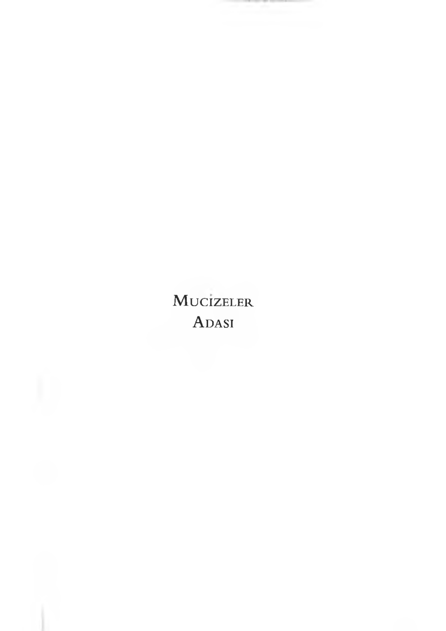 Mucizeler Adası PDF – Ayşegül Çiçekoğlu