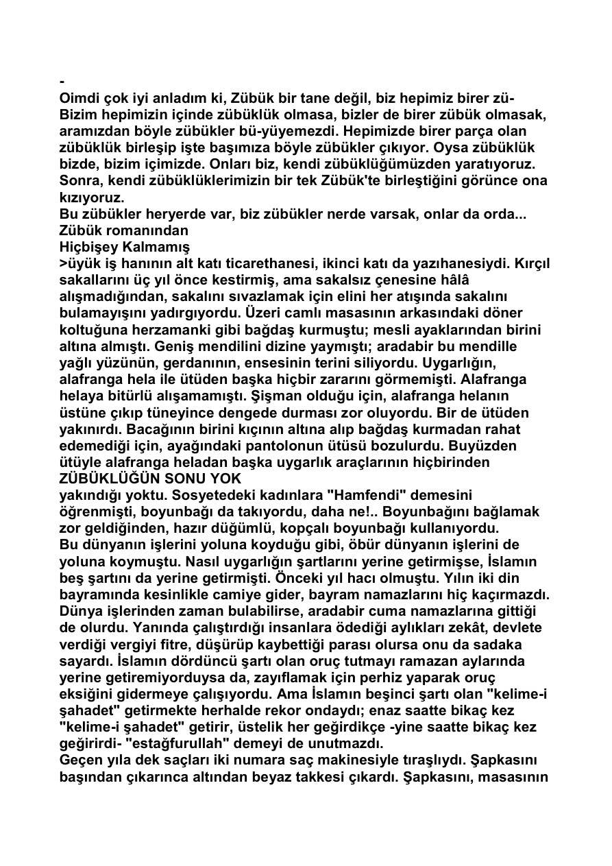 Zübüklüğün Sonu Yok PDF – Aziz Nesin