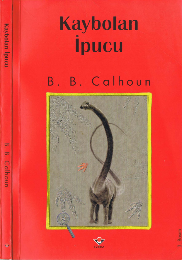 Kaybolan İpucu PDF – B. B. Calhoun