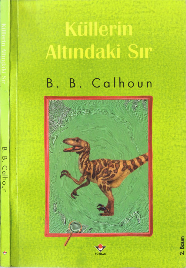 Küllerin Altındaki Sır PDF – B. B. Calhoun