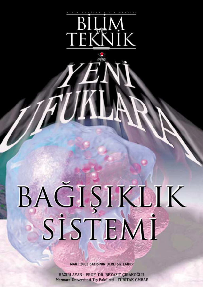 Bagisiklik Sistemi Kitap Kapağı