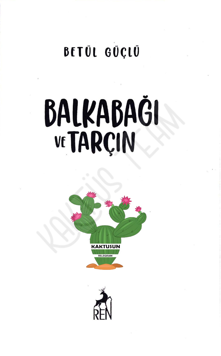 Balkabağı ve Tarçın PDF – Betül Güçlü