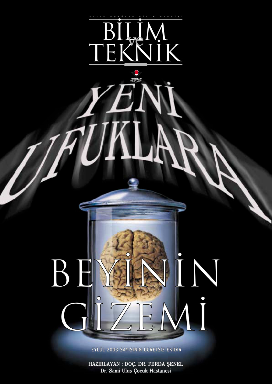 Beynin Gizemi PDF – Kolektif / Bilim