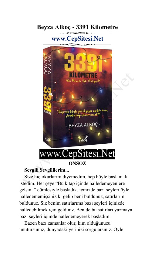 3391 Kilometre PDF - Beyza Alkoç 10 3391 Kilometre PDF – Beyza Alkoç
