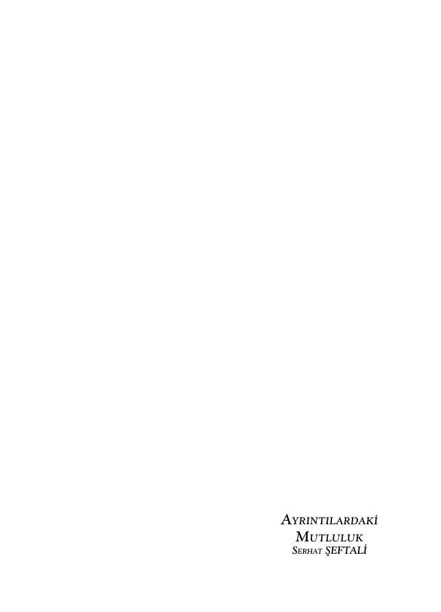 Ayrıntılardaki Mutluluk PDF – Serhat Şeftali