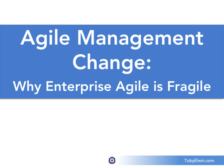 Agile Change Management Ownership Fluency Kitap Kapağı