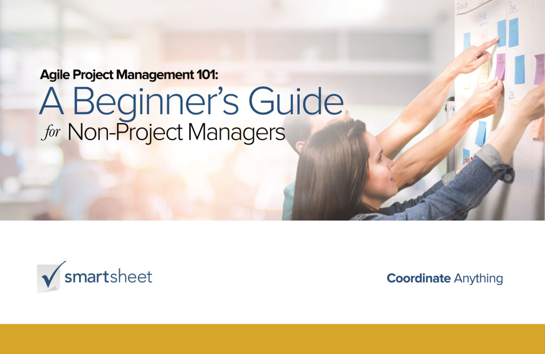 Agile PM 101: Beginners Guide PDF – Unknown