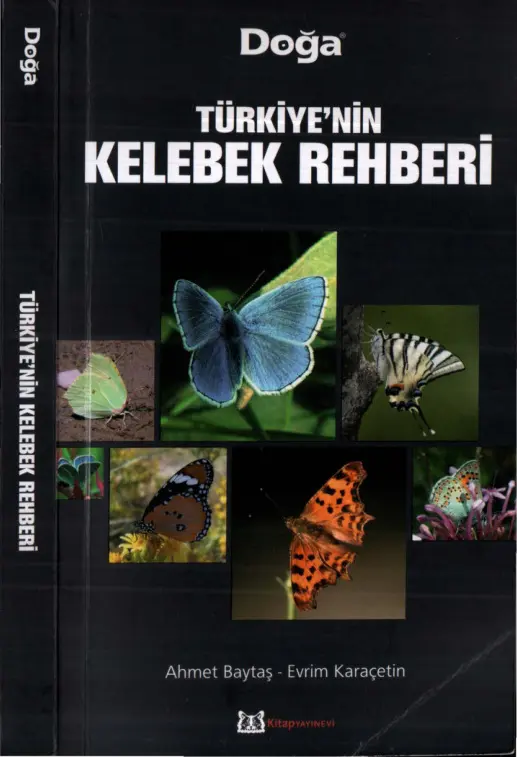 Türkiye’nin Kelebek Rehberi PDF – Ahmet Baytaş