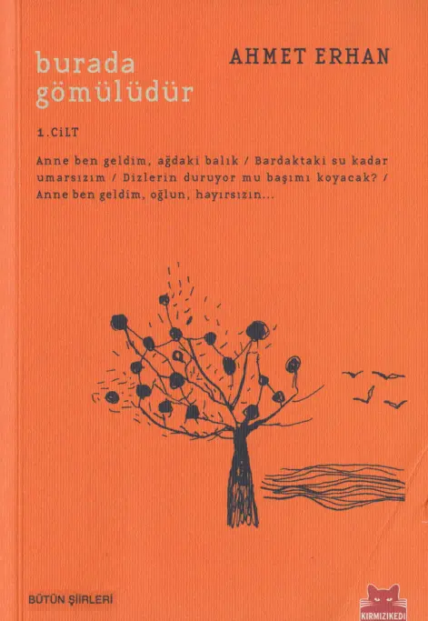 Ahmet Erhan Burada Gömülüdür 1 Kırmızı Kedi Yayınları Kitap Kapağı