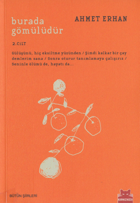 Burada Gömülüdür 2 PDF – Ahmet Erhan