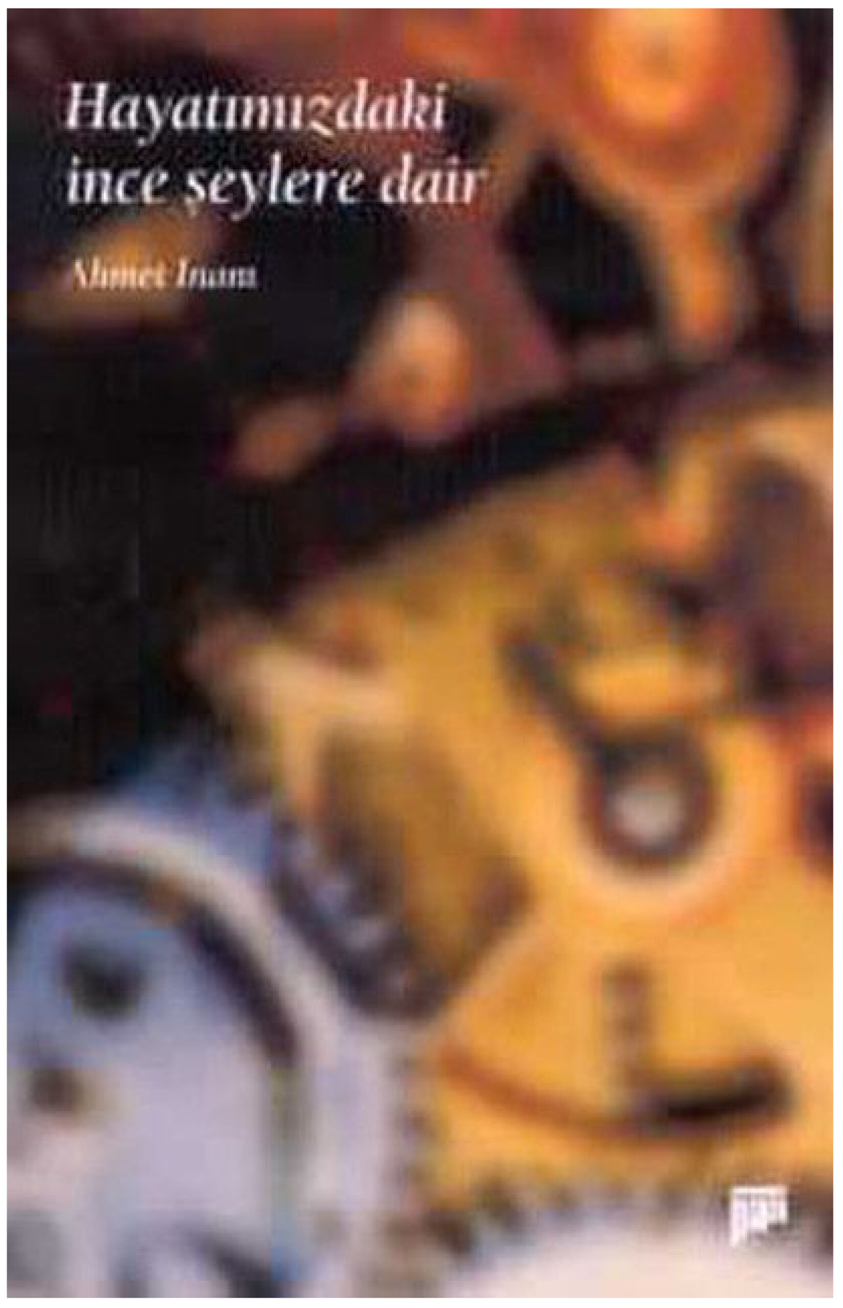 Hayatımızdaki İnce Şeylere Dair PDF – Ahmet İnam