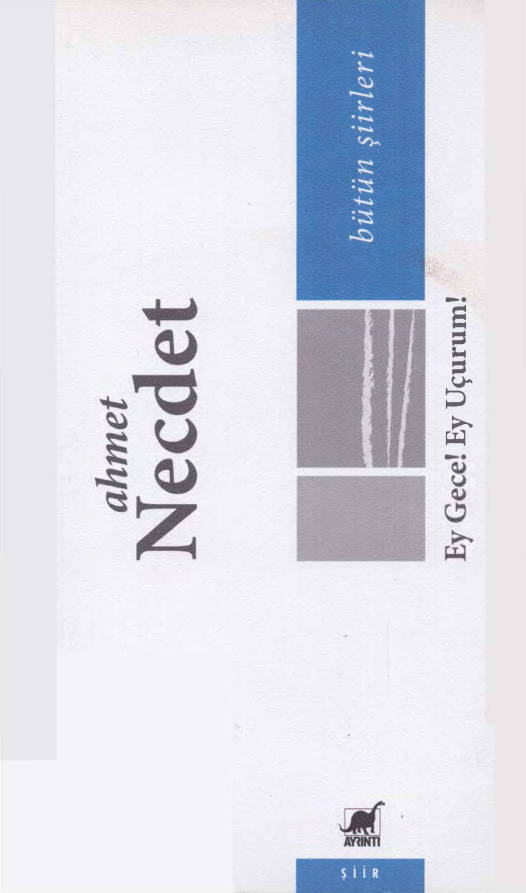 Ey Gece Ey Uçurum PDF – Ahmet Necdet
