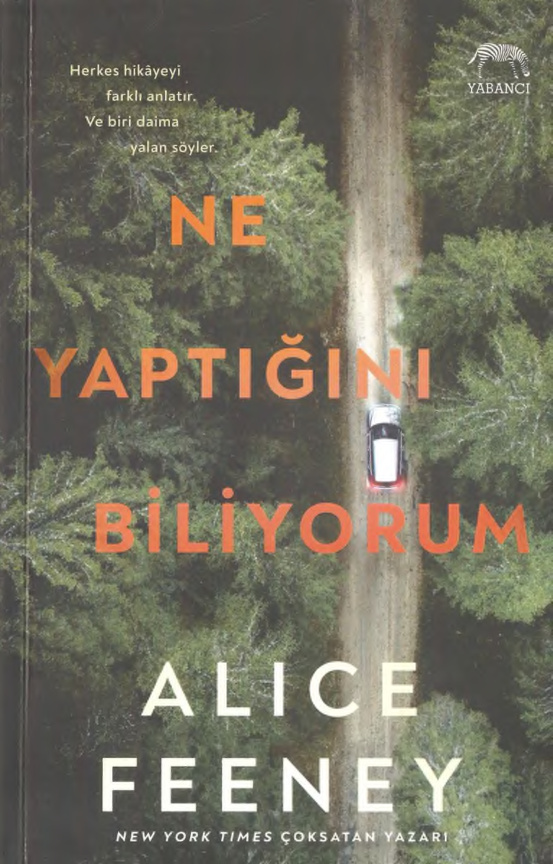 Ne Yaptığını Biliyorum PDF – Alice Feeney