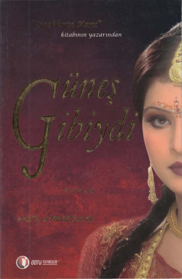 Anita Amirrezvani Güneş Gibiydi ODTÜ Yayınları Kitap Kapağı