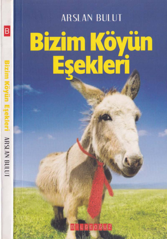 Arslan Bulut Bizim Köyün Eşekleri Bilgeoğuz Yayınları Kitap Kapağı