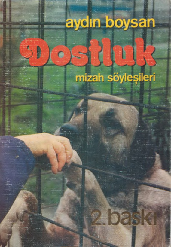 Aydın Boysan Dostluk BAS Yayınları Kitap Kapağı