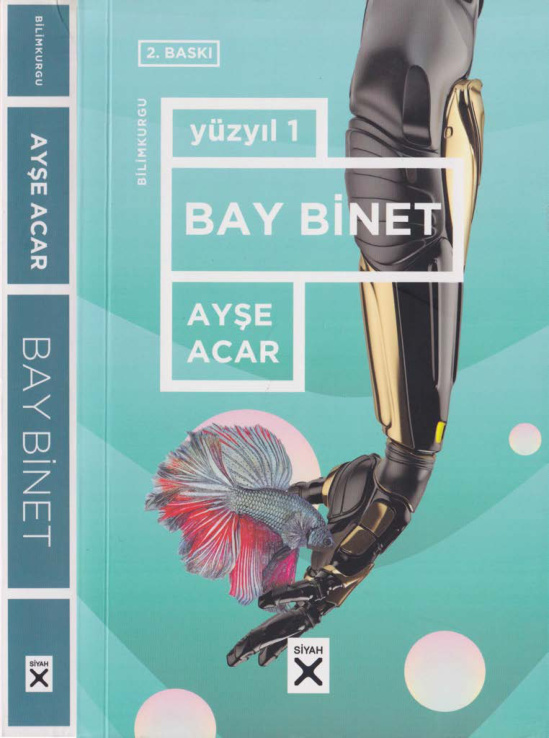 Ayşe Acar Yüzyıl 1 Bay Binet Siyah Kitap Yayınları Kitap Kapağı