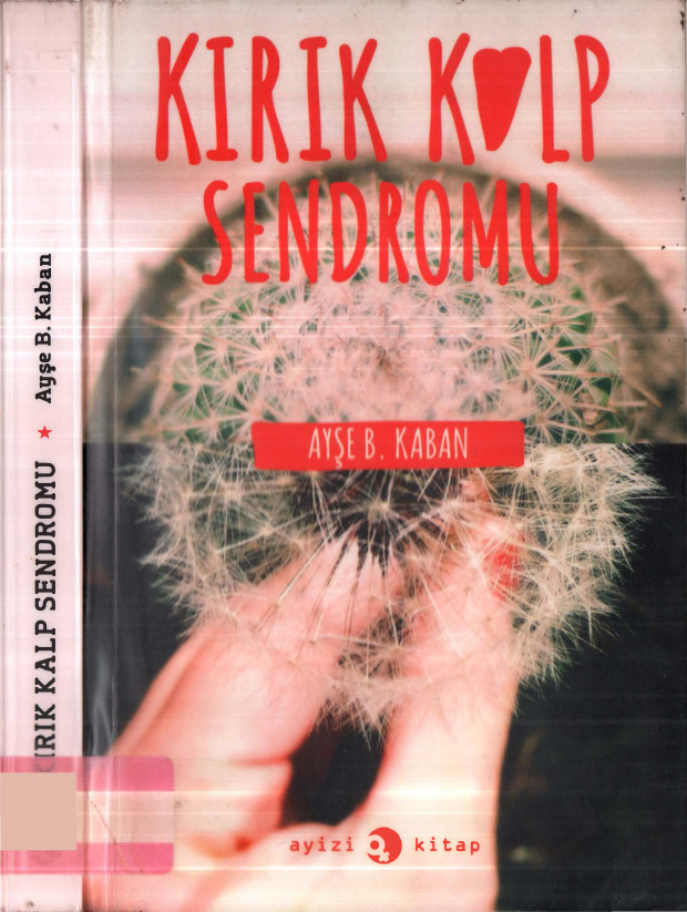 Kırık Kalp Sendromu PDF – Ayşe B. Kaban