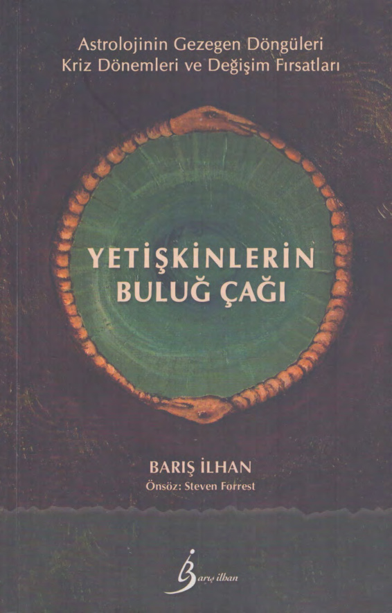 Yetişkinlerin Buluğ Çağı PDF – Barış İlhan
