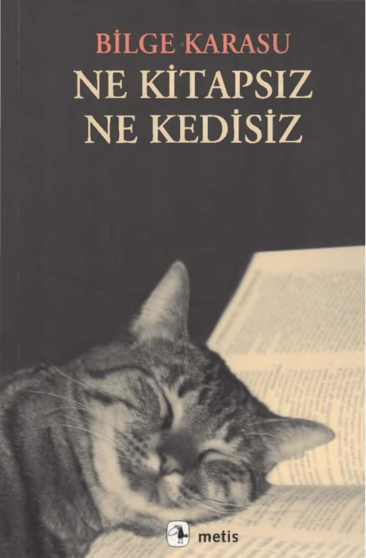 Ne Kitapsız Ne Kedisiz PDF – Bilge Karasu