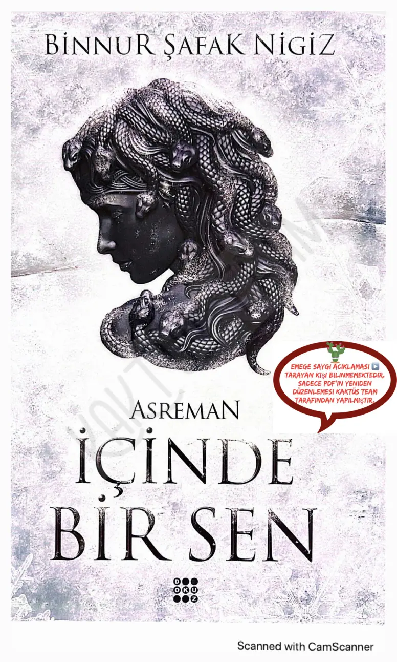 İçinde Bir Sen #2 Asmeran PDF – Binnur Şafak Nigiz