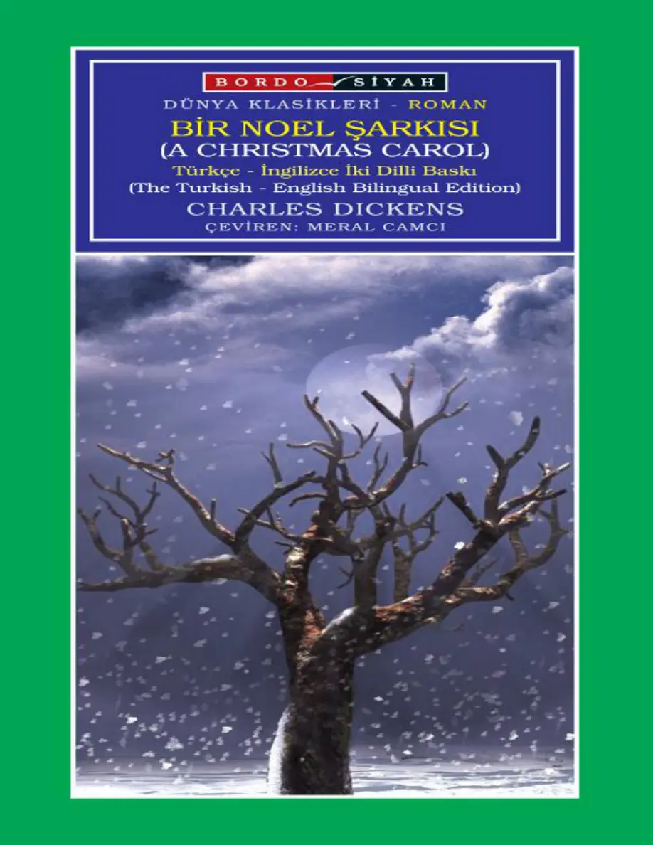 Bir Noel Şarkısı PDF - Charles Dickens 8 Bir Noel Şarkısı PDF – Charles Dickens