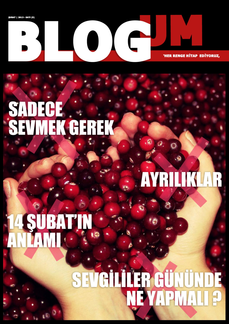 Blogum – Şubat 2013 PDF – Kolektif