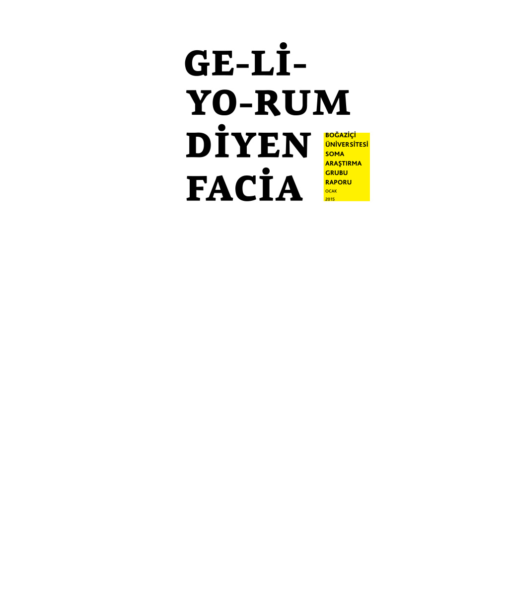 Boğaziçi Üniversitesi Soma Araştırma Grubu Raporu PDF – Soma Araştırma Grubu