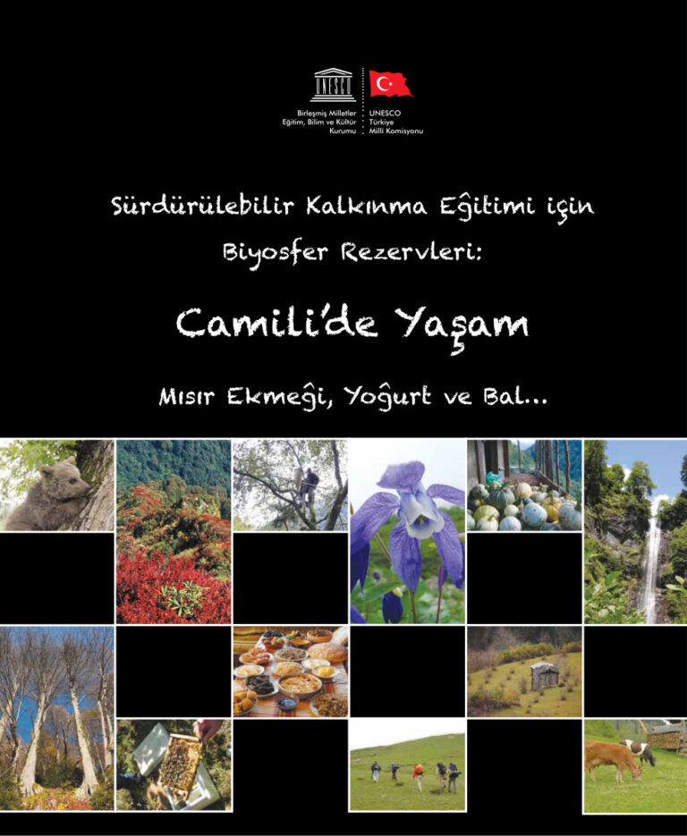Borçka Camili'de Yaşam Kitap Kapağı