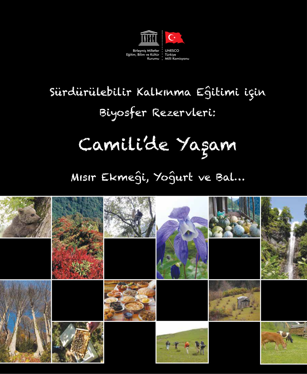 Borçka Camili’de Yaşam PDF – Kolektif