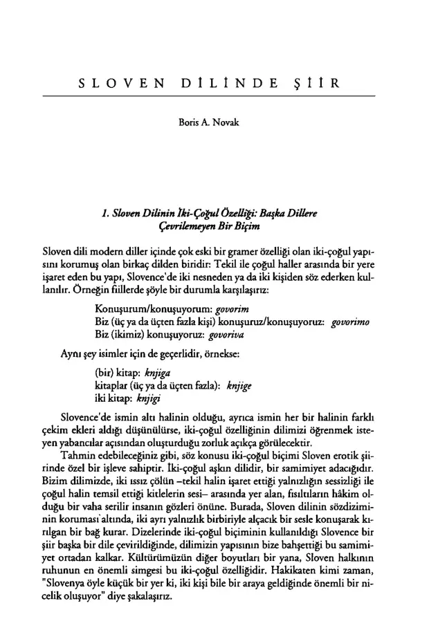 Sloven Dilinde Şiir PDF – Boris A. Novak