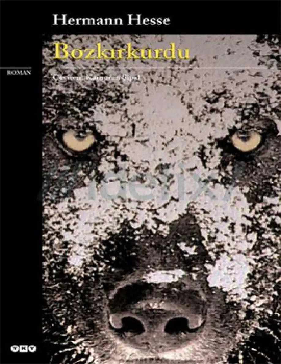 Bozkırkurdu PDF – Hermann Hesse
