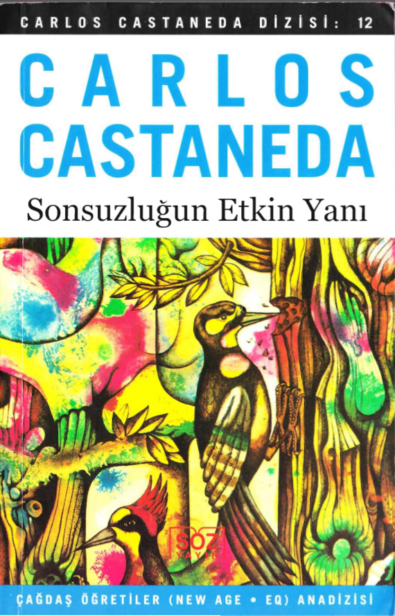 Sonsuzluğun Etkin Yanı PDF - Carlos Castaneda 9 Sonsuzluğun Etkin Yanı PDF – Carlos Castaneda