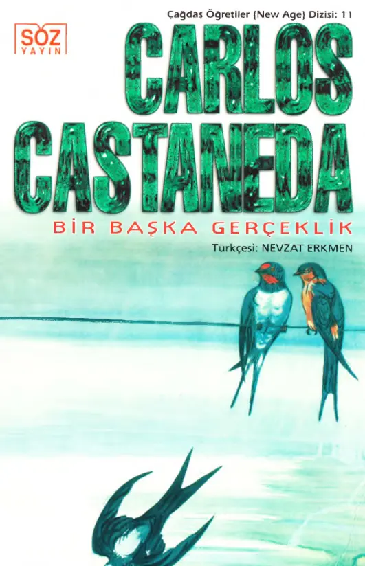 Carlos CastanedaBir Başka Gerçeklik Söz Yayınları Kitap Kapağı