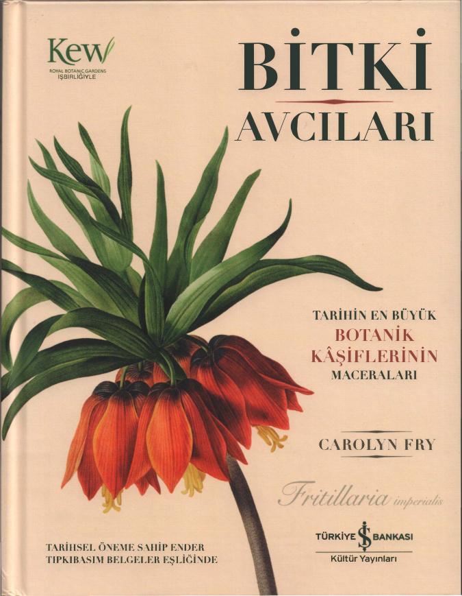 Bitki Avcıları PDF – Carolyn Fry