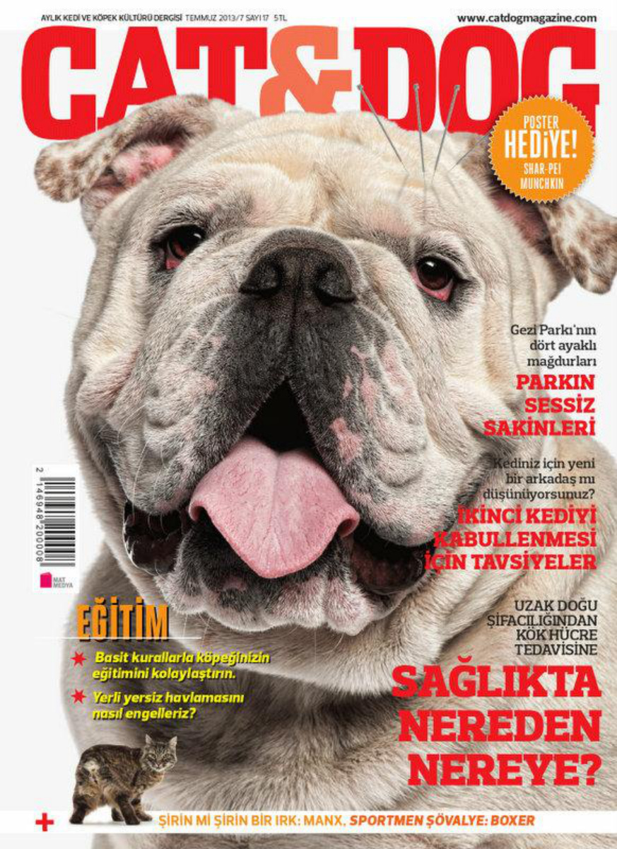 Cat & Dog – Temmuz 2013 PDF – Kolektif