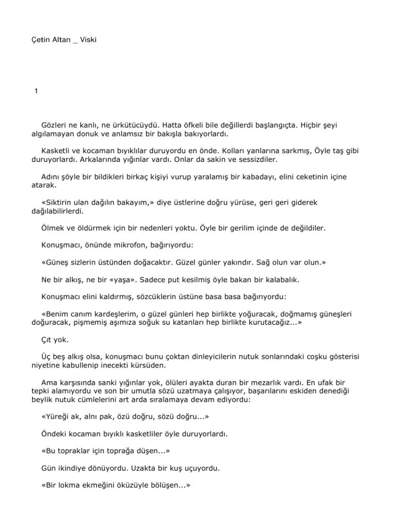 Cetin Altan Viski Kitap Kapağı